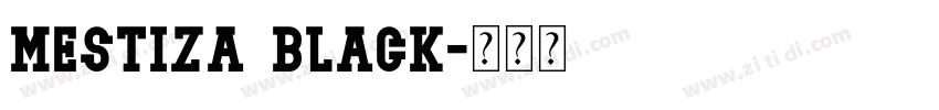 Mestiza Black字体转换